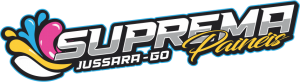 Logo Sistema